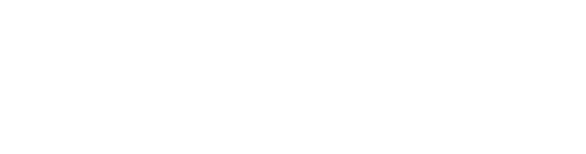 Conecty logo