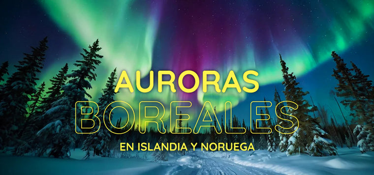 Northern Lights in Iceland and Norway: Connectivity, Requirements and Tips