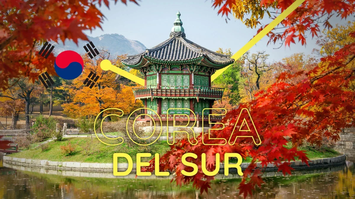 Travel to South Korea and connect with a new adventure
