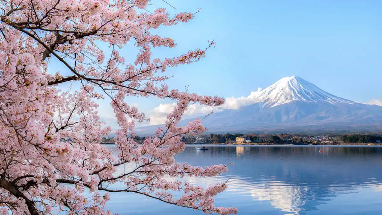 Discovering Japan: An unforgettable journey